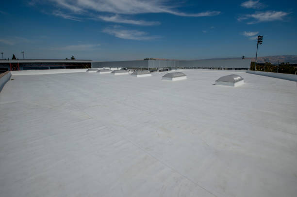 Best Roof Coating and Sealing  in Whitewright, TX