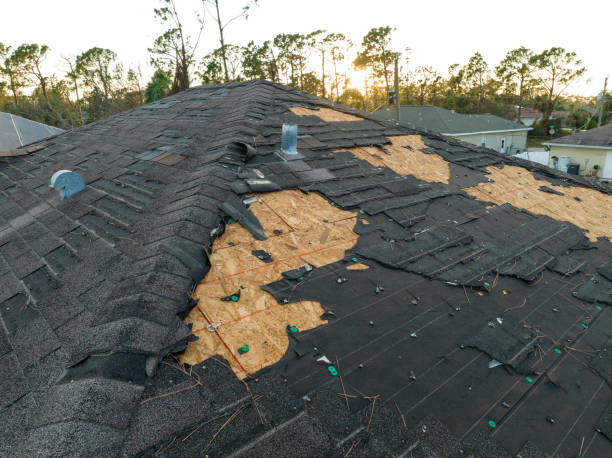 Best Storm Damage Roof Repair  in Whitewright, TX